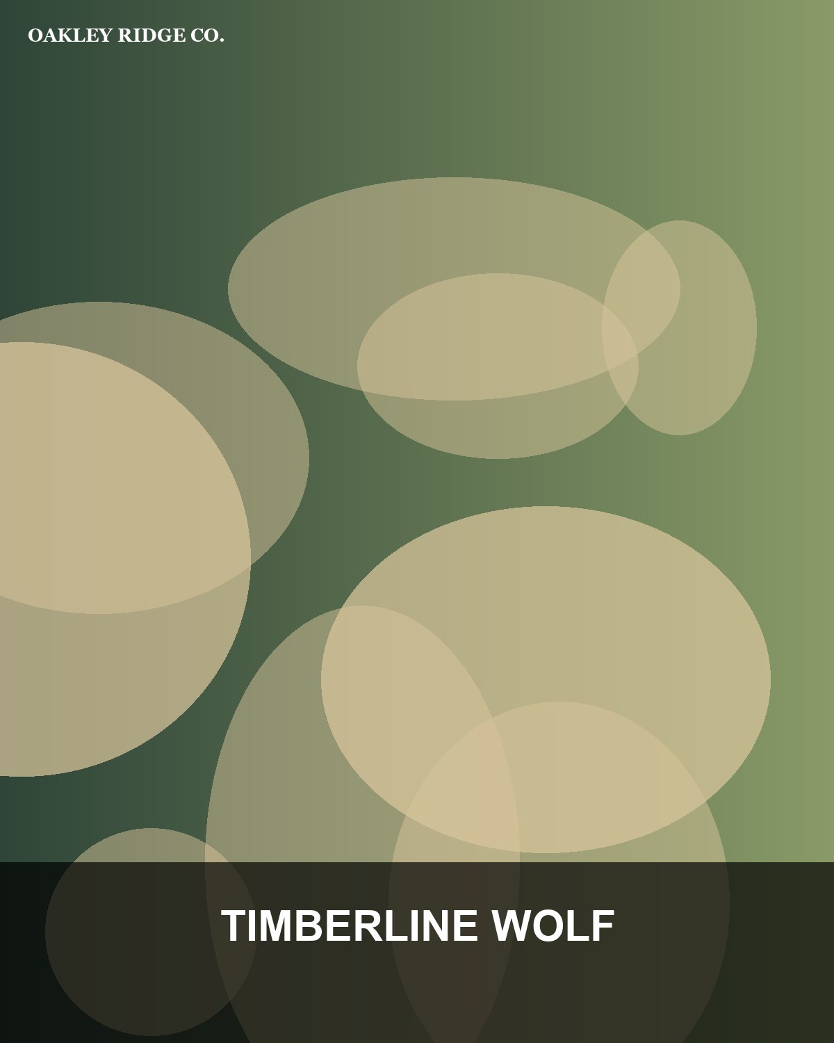Canvas Design Front