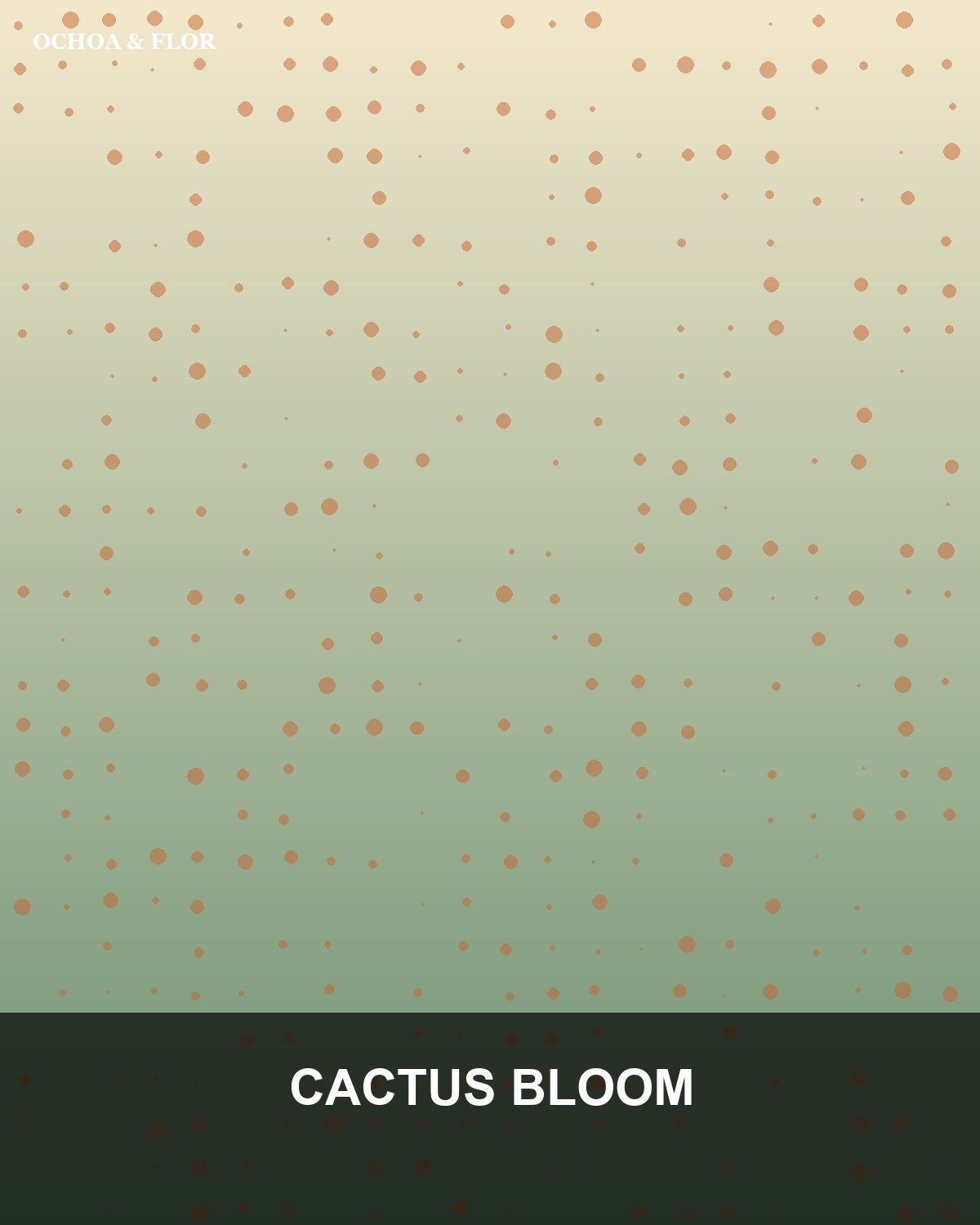 Canvas Design Front