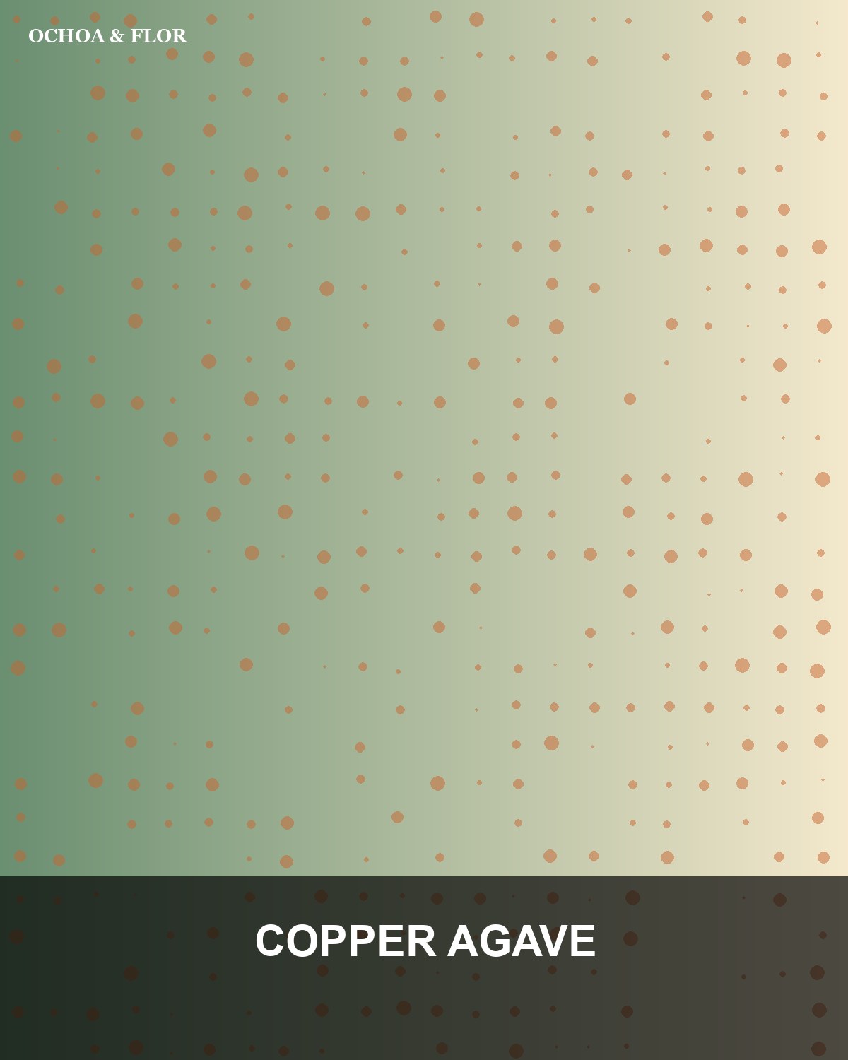 Canvas Design Front