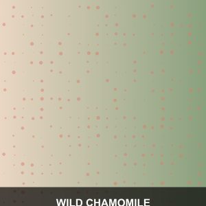 Wild Chamomile