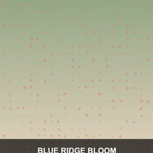 Blue Ridge Bloom