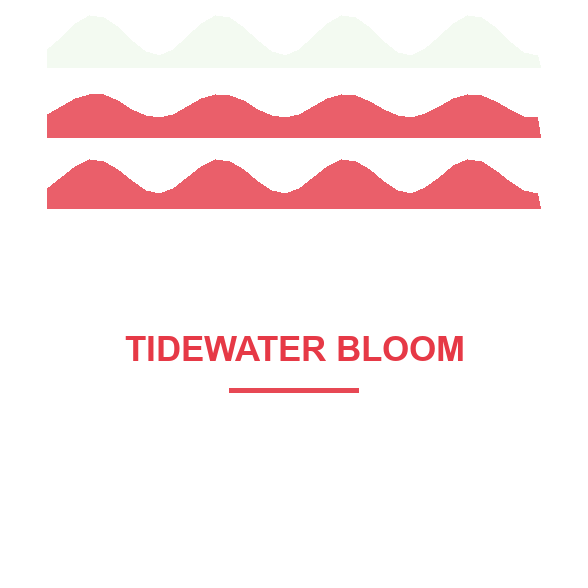 Design Front